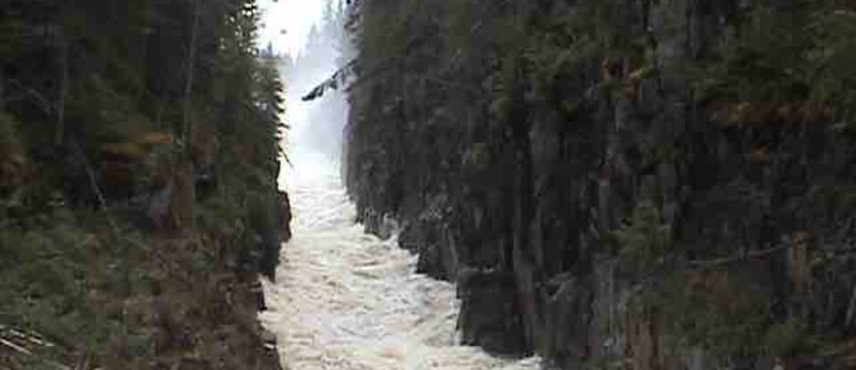 L&rsquo;eau vive