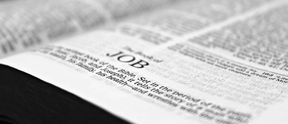 Job – l&rsquo;enjeu
