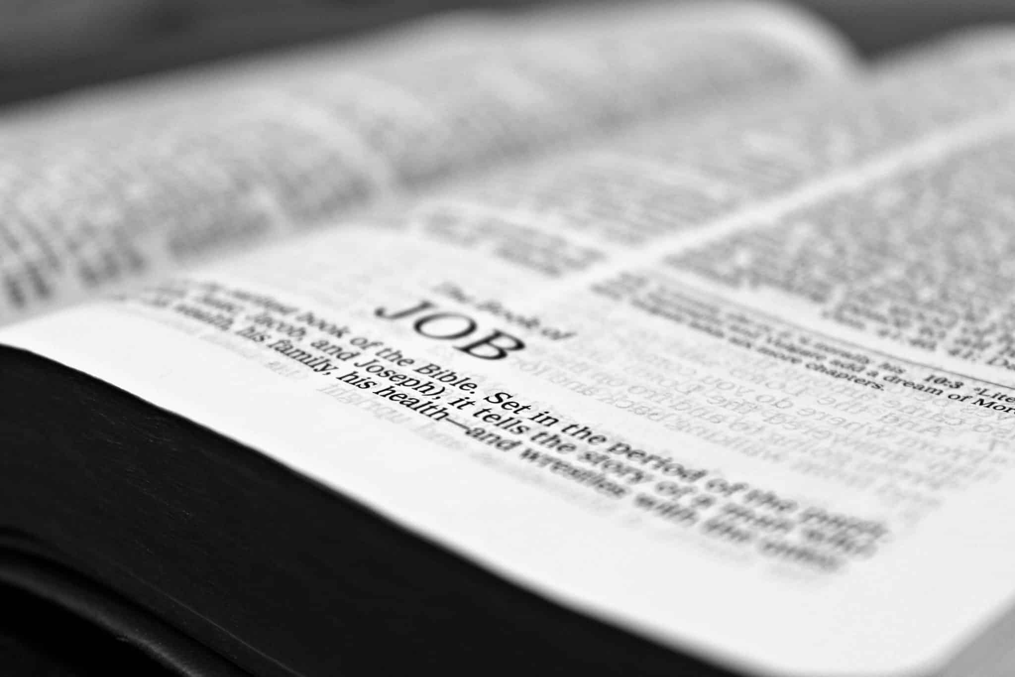 Livre de Job (La Bible)