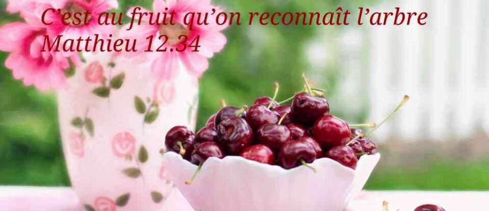 avec Dieu repenser nos re-pères