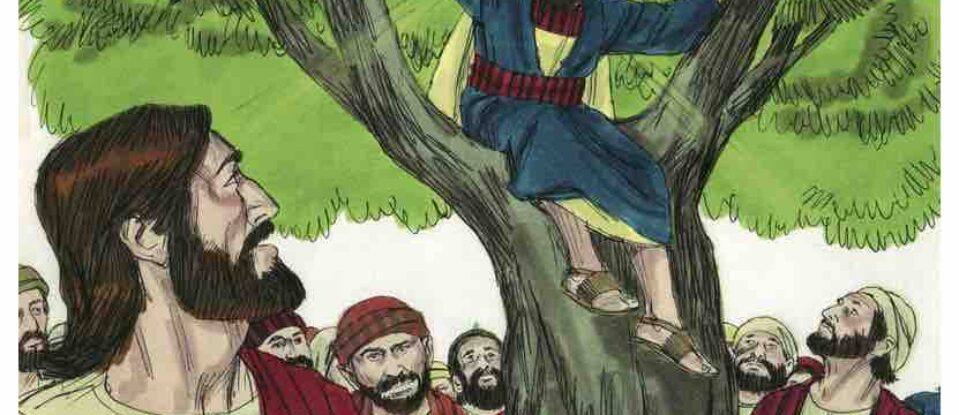 Zachée sur son arbre – Luc 19