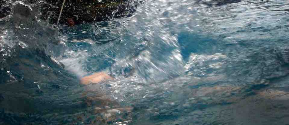 Un roi qui saute à l&rsquo;eau