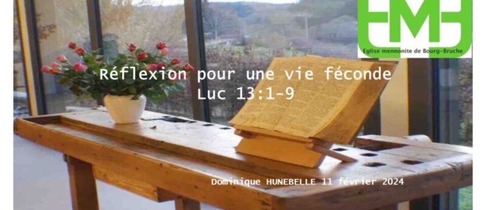 Réflexion pour une vie féconde