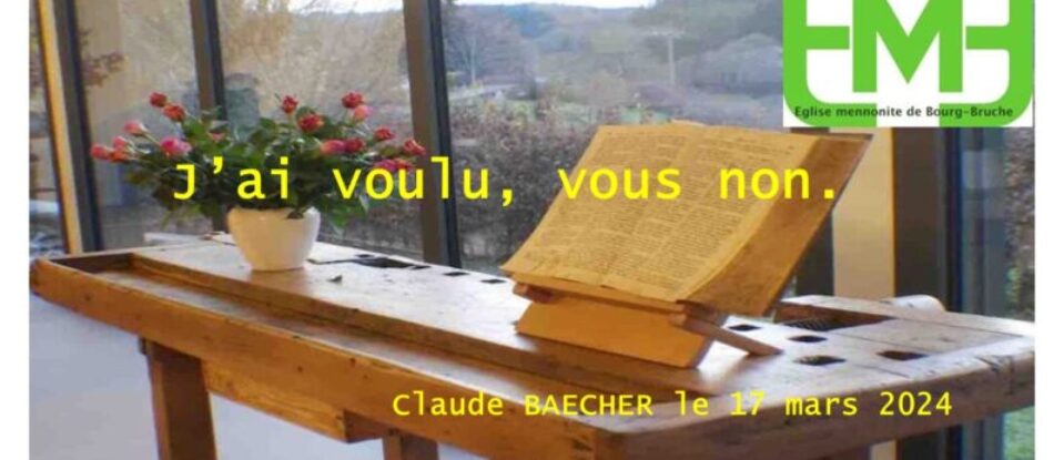 J&rsquo;AI VOULU, VOUS NON.