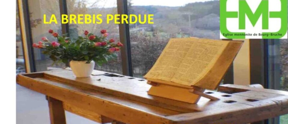 LA BREBIS PERDUE