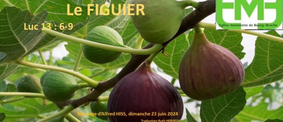 LE FIGUIER – LUC 13: 6-9