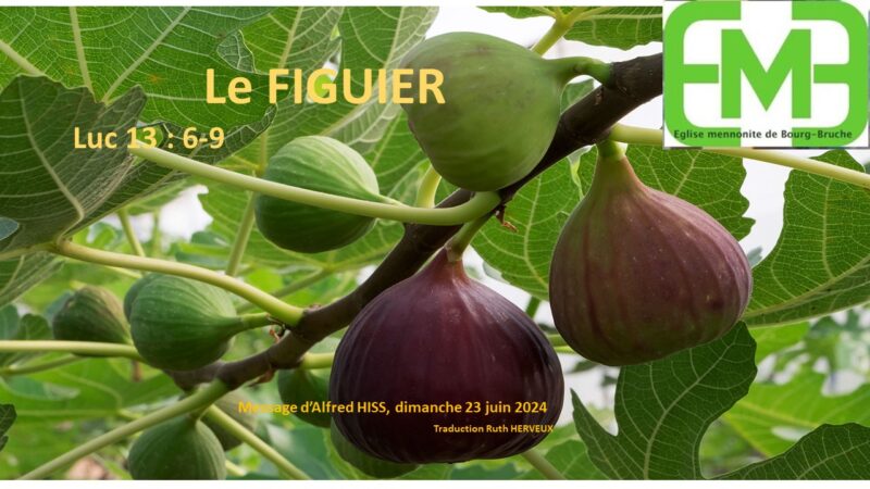 You are currently viewing LE FIGUIER – LUC 13: 6-9