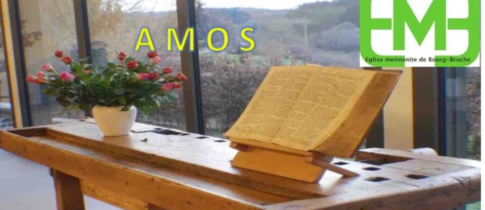 AMOS