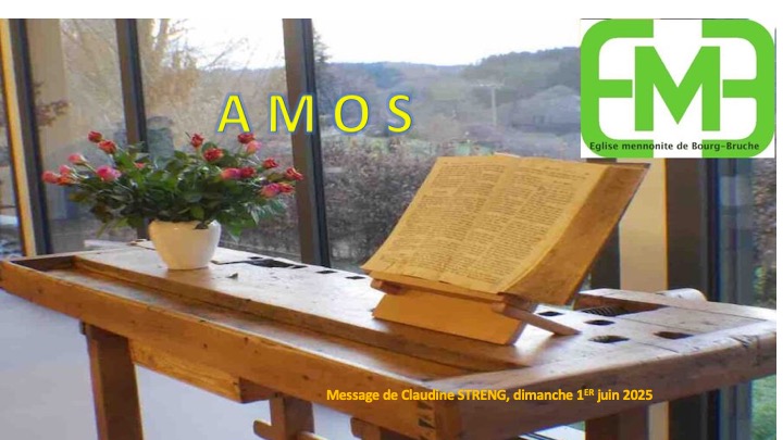 You are currently viewing AMOS