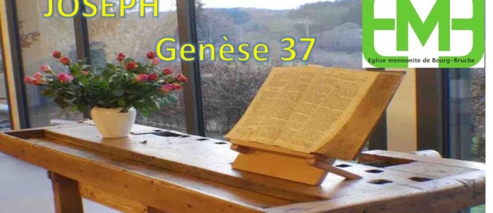 JOSEPH  / GENÈSE 37